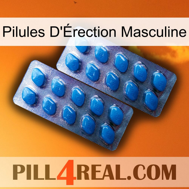 Male Erection Pills viagra2